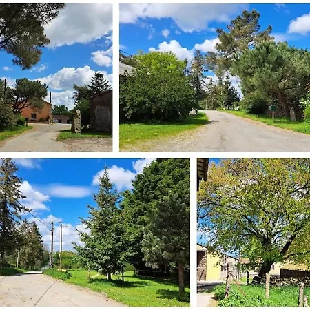 Le P'tit D'isa, 15 Km Du Puy Du Fou